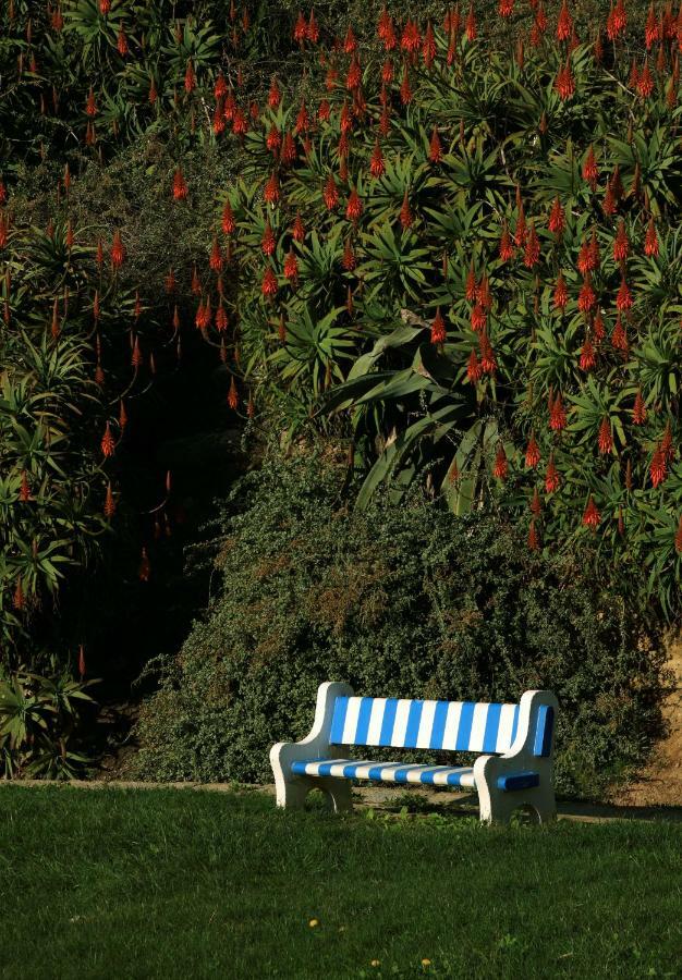 Azenhas Do Mar Cottage Sintra Exterior foto